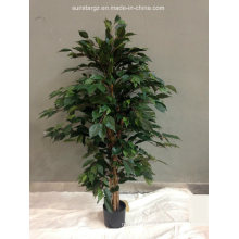 Artificial Plant Ficus Tree with Pot for Hotel Decoration (49861)